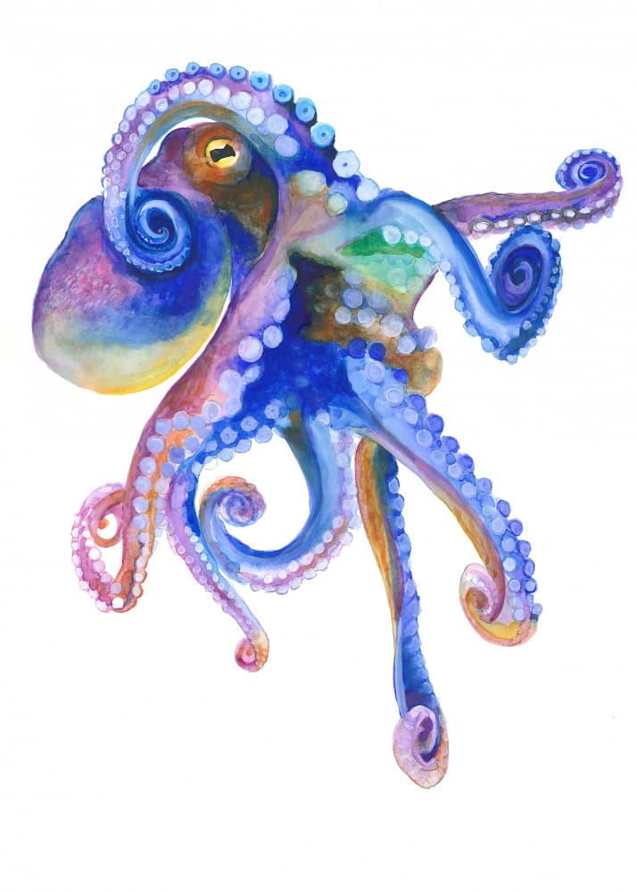 Blue Marine Octopuss by Isabelle Brent — canvas wall art