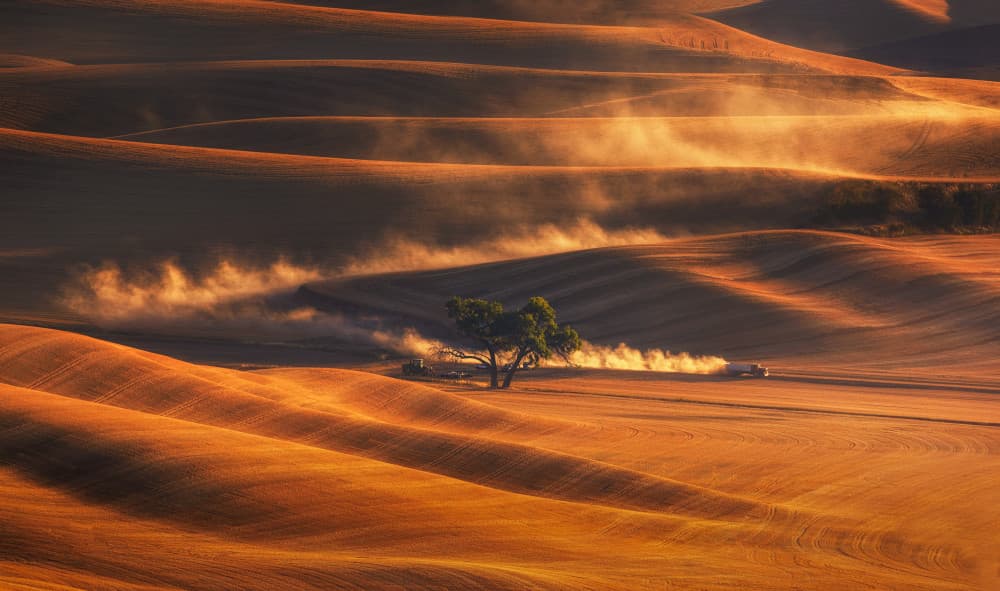 Harvesting Golden Fields by Joanna W — canvas wall art