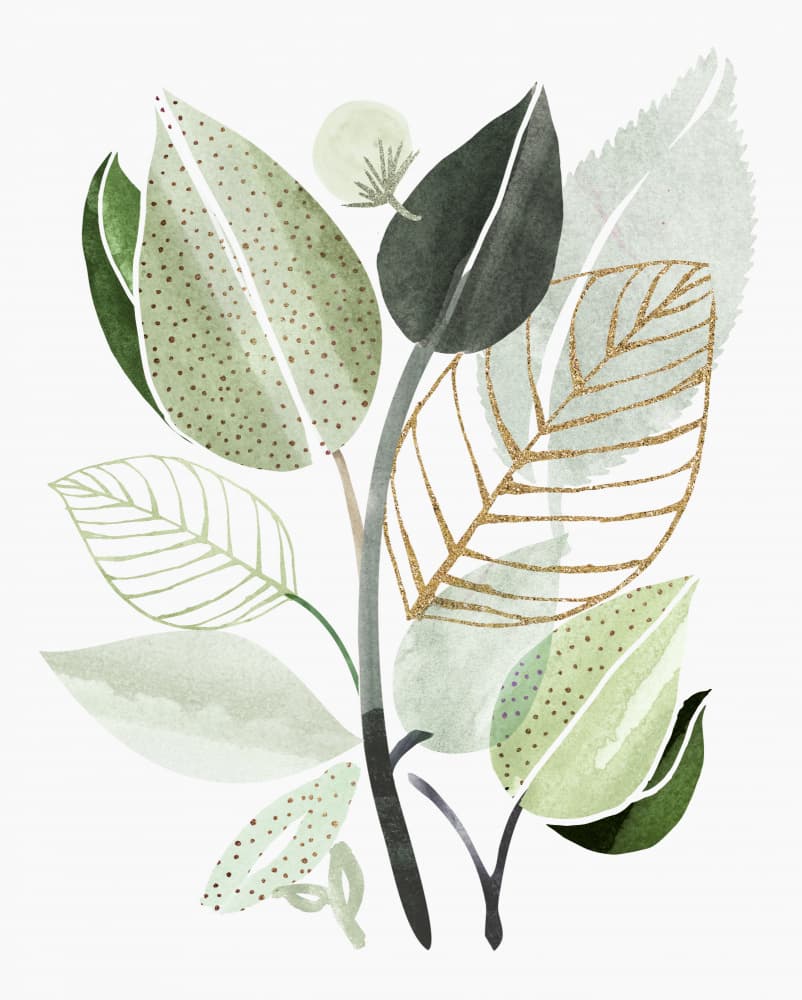 Forest Bouquet Collage 5 by Kristian Gallagher — canvas wall art