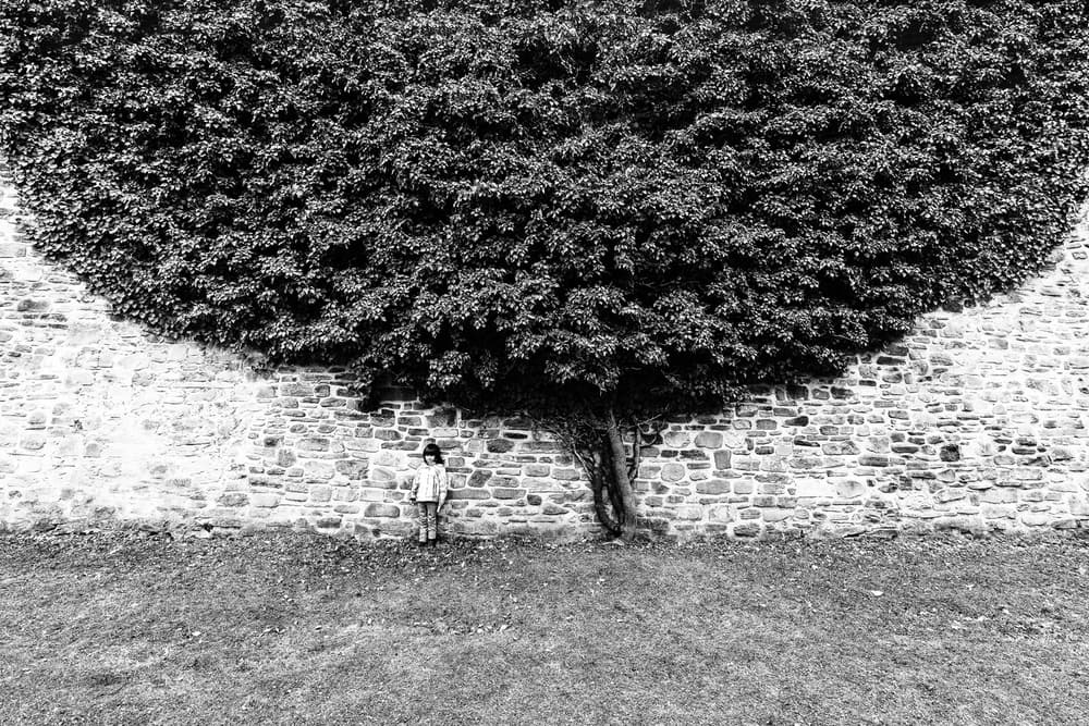 Child Under Ivy Tree by Marius Cinteza — canvas wall art
