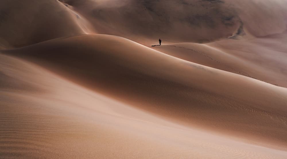 Lone Desert Journey by Marjan Taghipour — canvas wall art