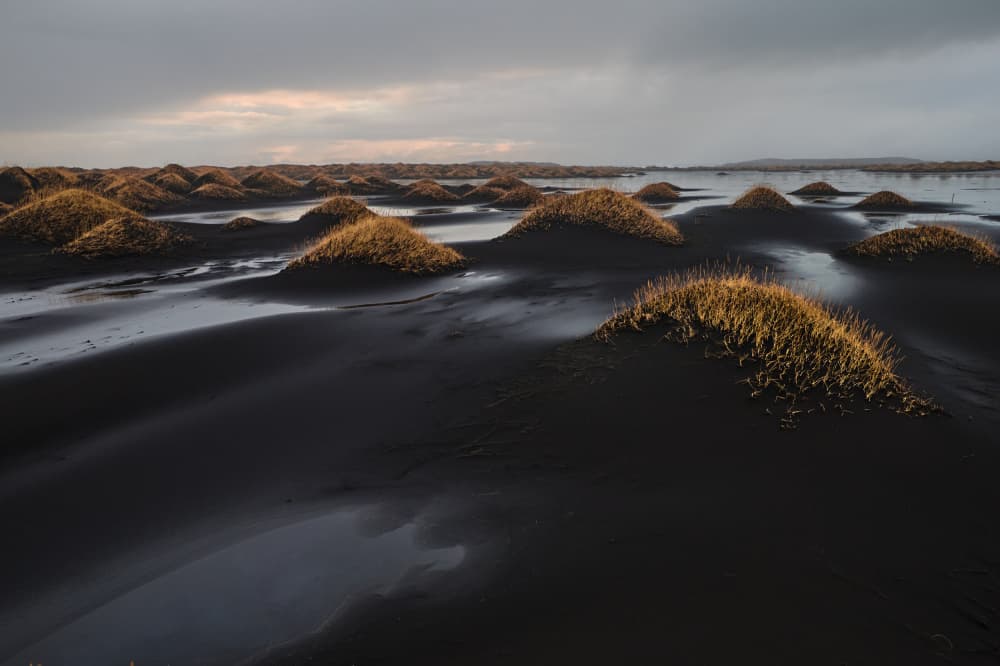 Golden Hummocks Black Sands by Avital Hershkovitz — canvas wall art
