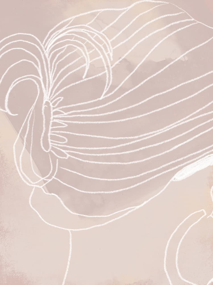 Delicate Petal Lines by Treechild — canvas wall art