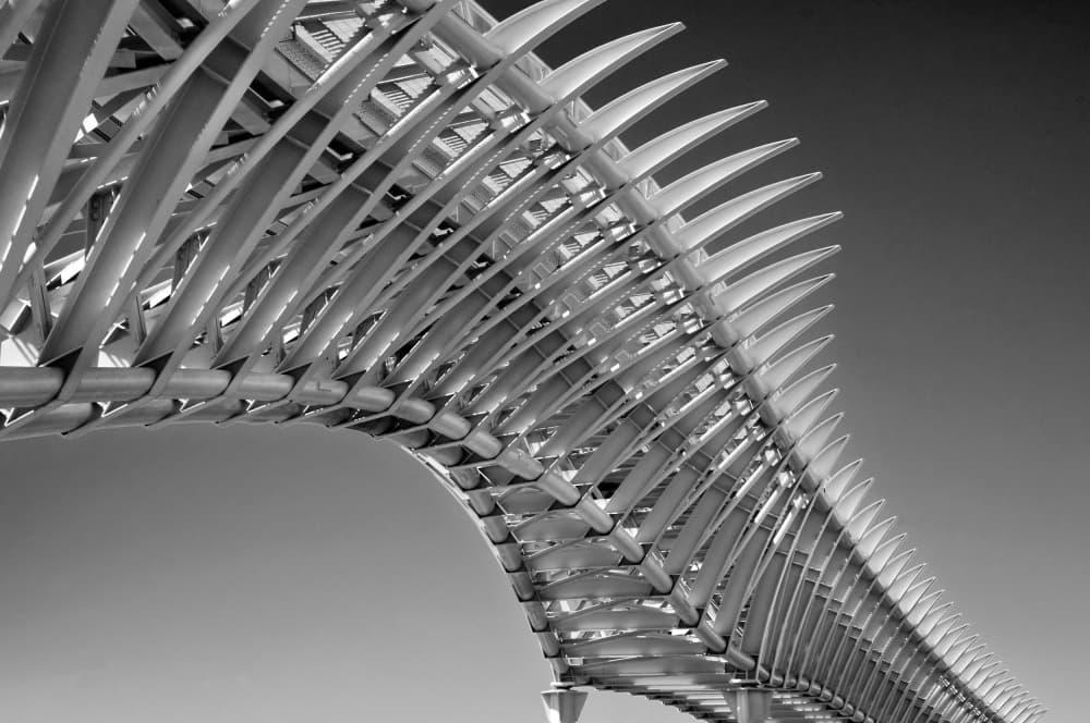 Sleek Architectural Curves by Linda Wride — canvas wall art