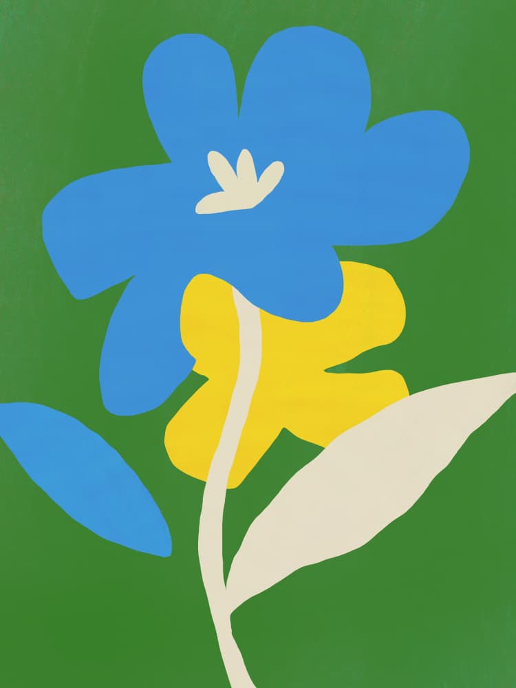 Blue and Yellow Blooms