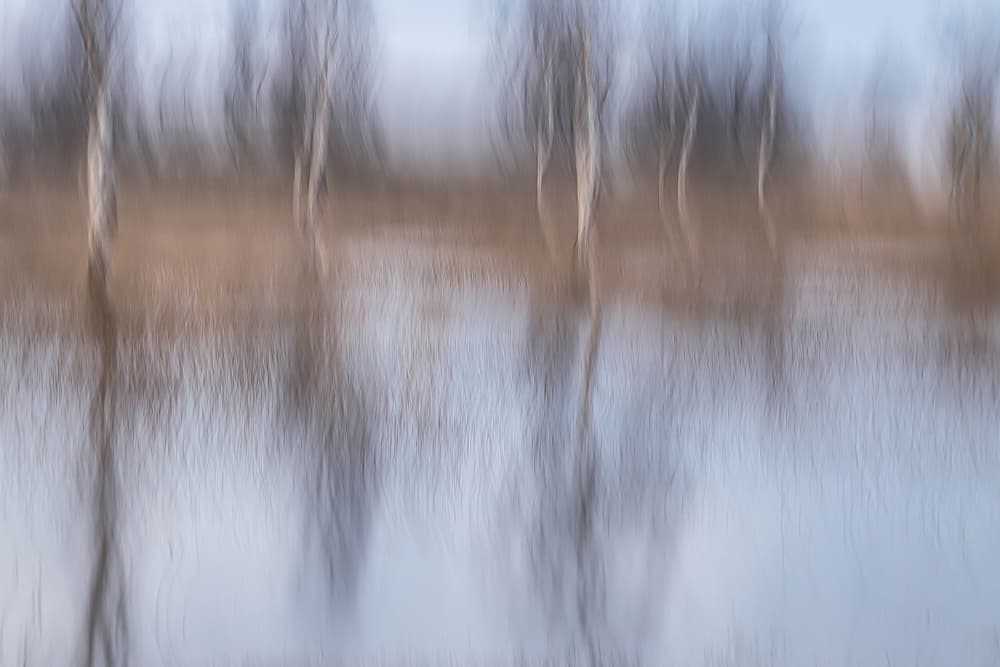 After the rain by Nel Talen — canvas wall art