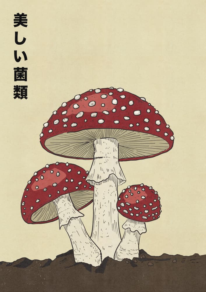 Red Fly Agaric Fungi by Nicholas — canvas wall art