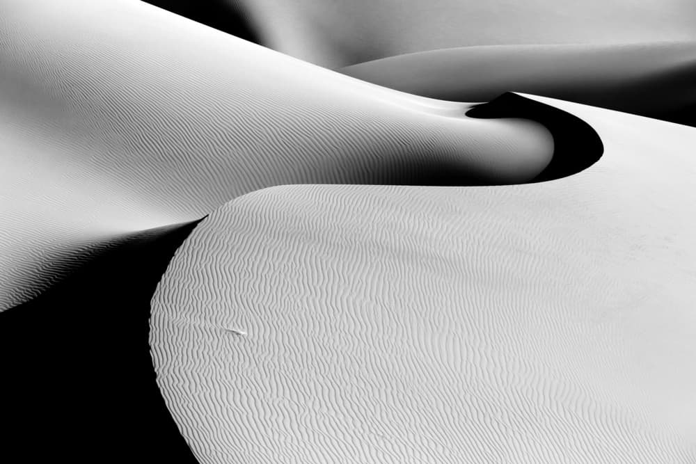 Monochromatic Desert Dunes by Mohammadreza Momeni — canvas wall art