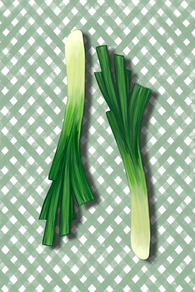 Green Onions Gingham by EMELIEmaria — canvas wall art