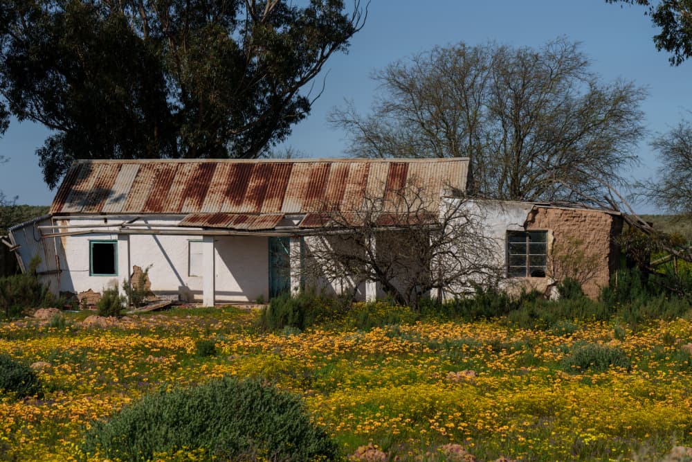 Rustic House Wildflowers by Etienne Steenkamp — canvas wall art