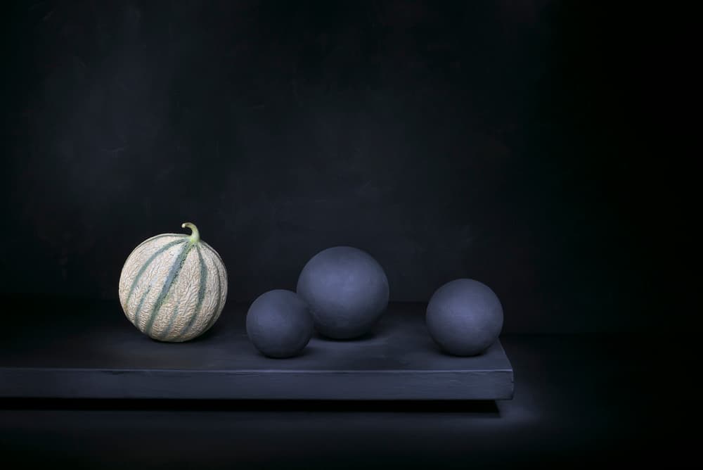Quiet Melon Still Life by Christophe Verot — canvas wall art