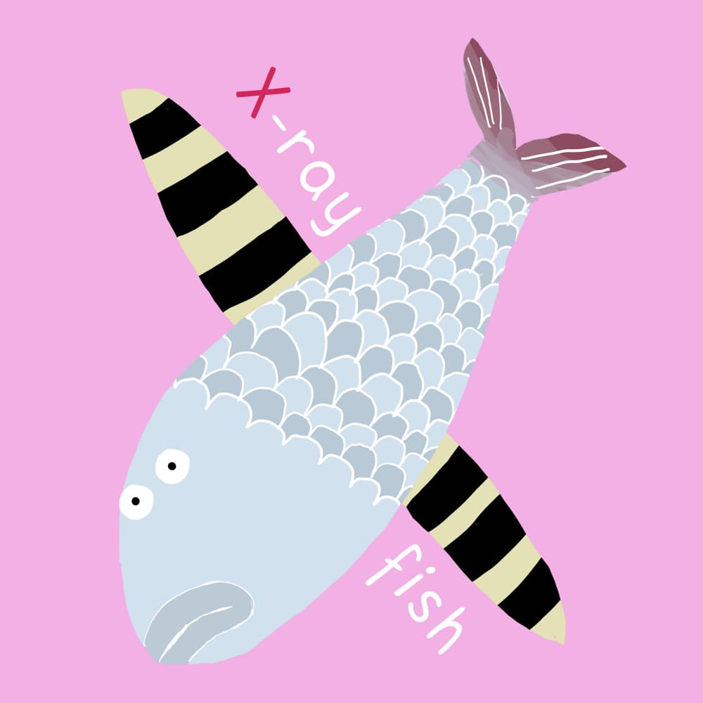 Playful X-Ray Fish by Carla Daly — canvas wall art