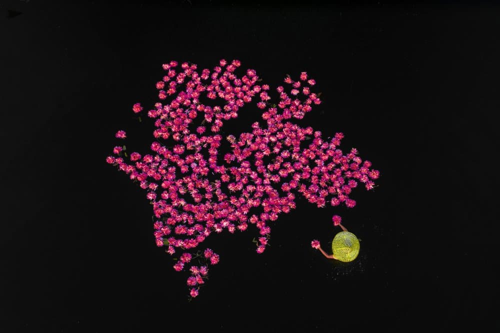 Vibrant Gem Cluster by Tanvir — canvas wall art