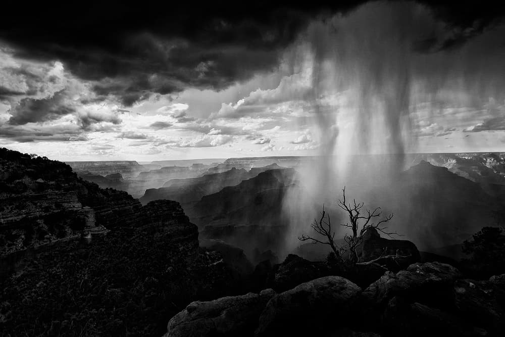Grand Canyon Rainstorm by Henry Zhao — canvas wall art