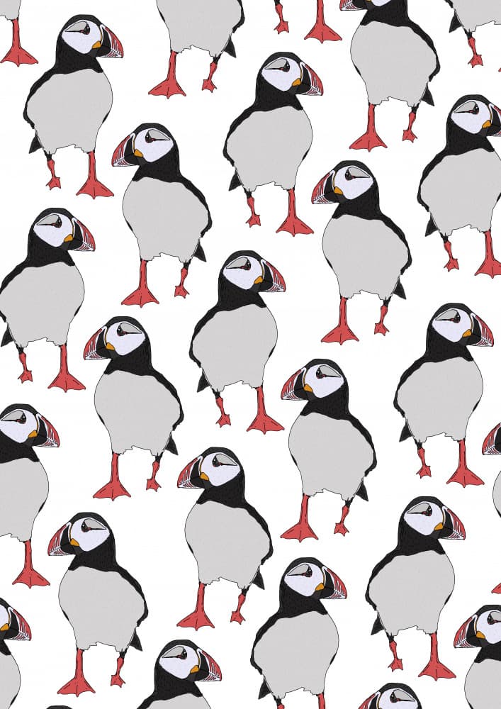 Puffins On Parade