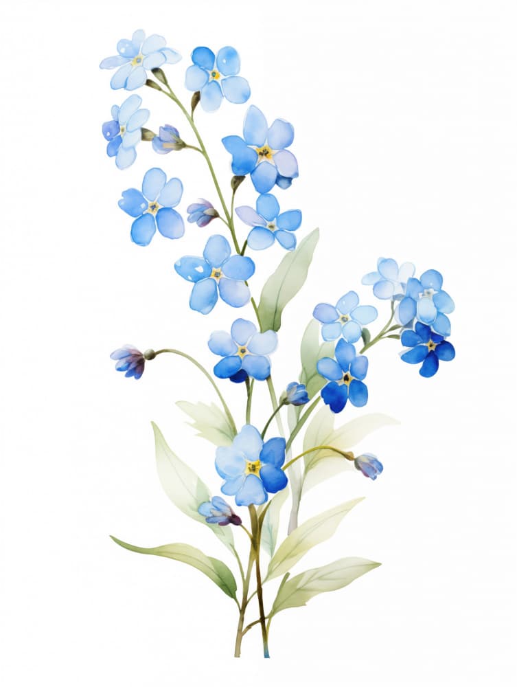 Delicate Blue Forget Me Nots by Christine Lindstrom — canvas wall art