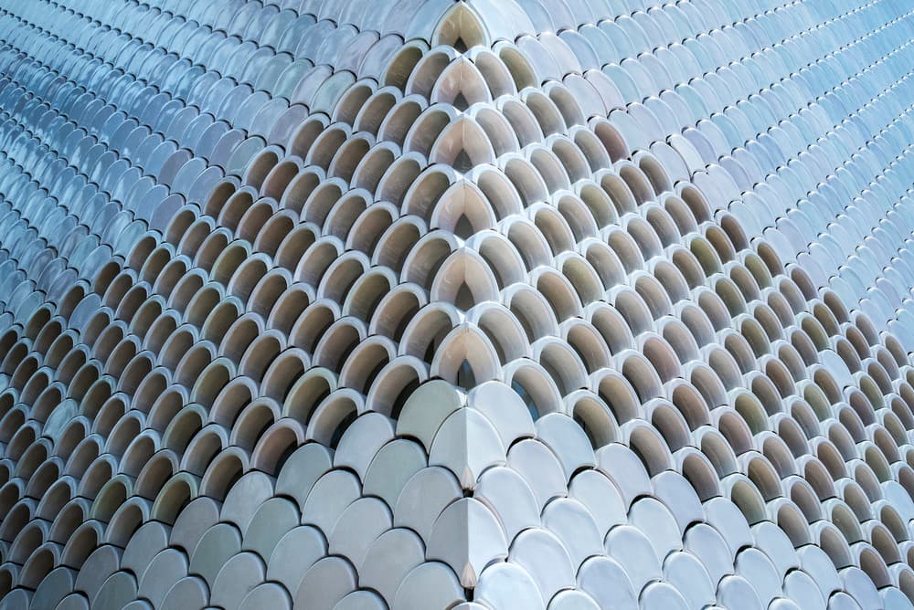 Sleek Curved Scales by Linda Wride — canvas wall art