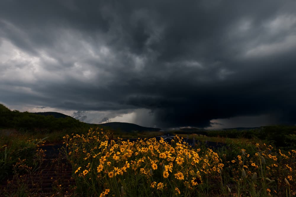 Dramatic Storm Golden Field by Liguang Huang — canvas wall art