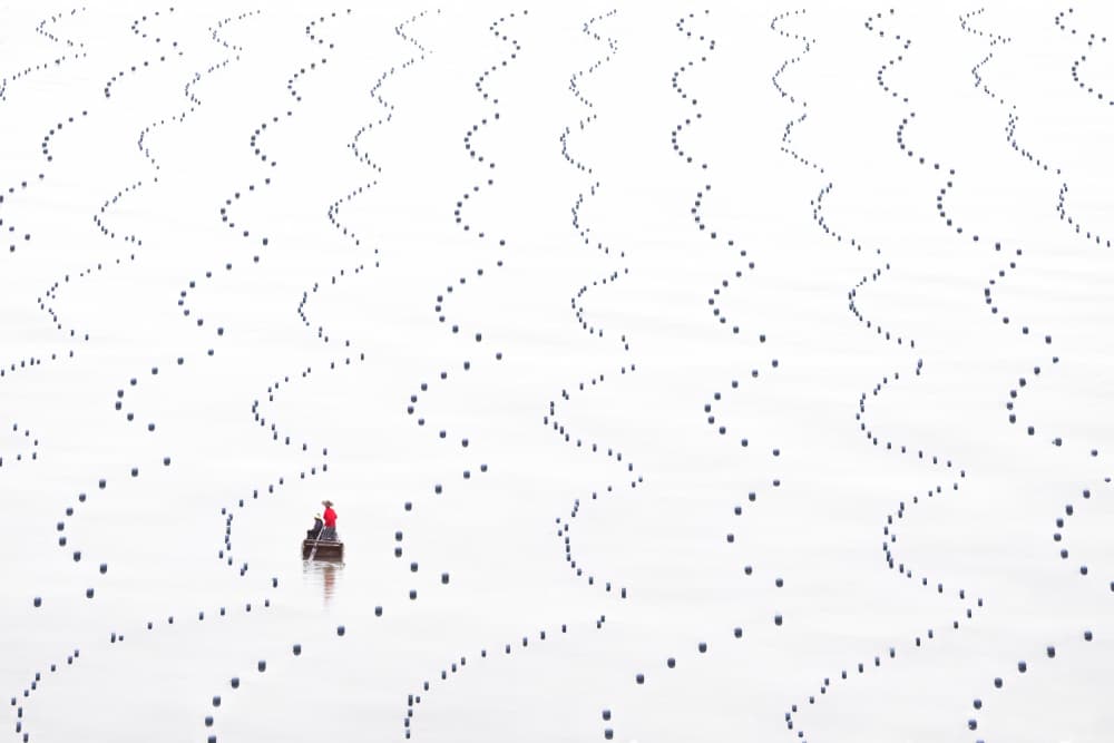 Wavy Lines Oyster Farm by Songlin Xu — canvas wall art