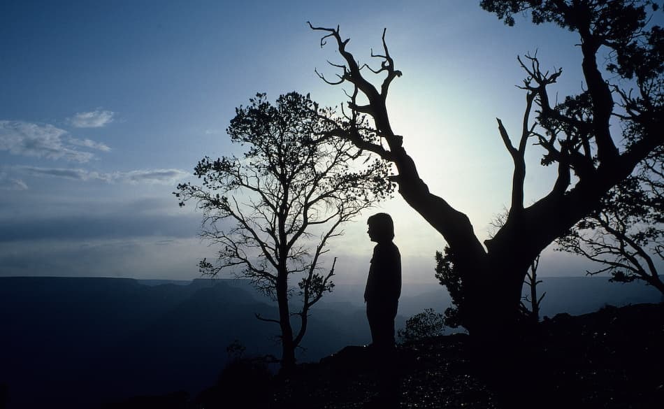 Solitary Silhouette Canyon Vista by Jerry Berry — canvas wall art