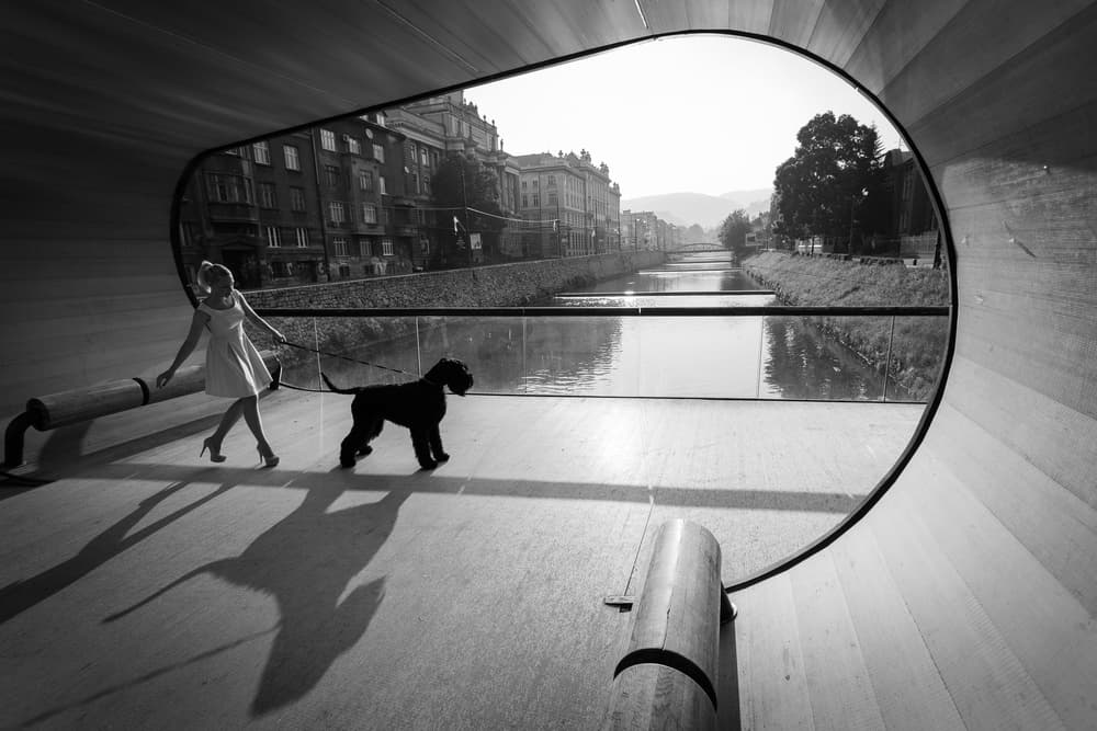 Elegant Woman Dog Walk by Adnan Mahmutovic — canvas wall art