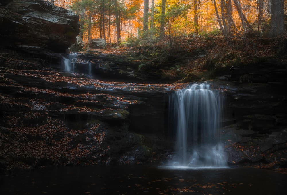 Autumn Forest Waterfall by Binbin L. — canvas wall art