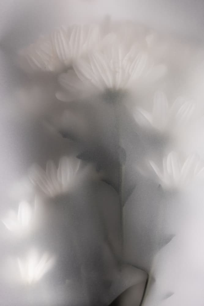 Blurred Flowers 4 by Mareike Böhmer — canvas wall art