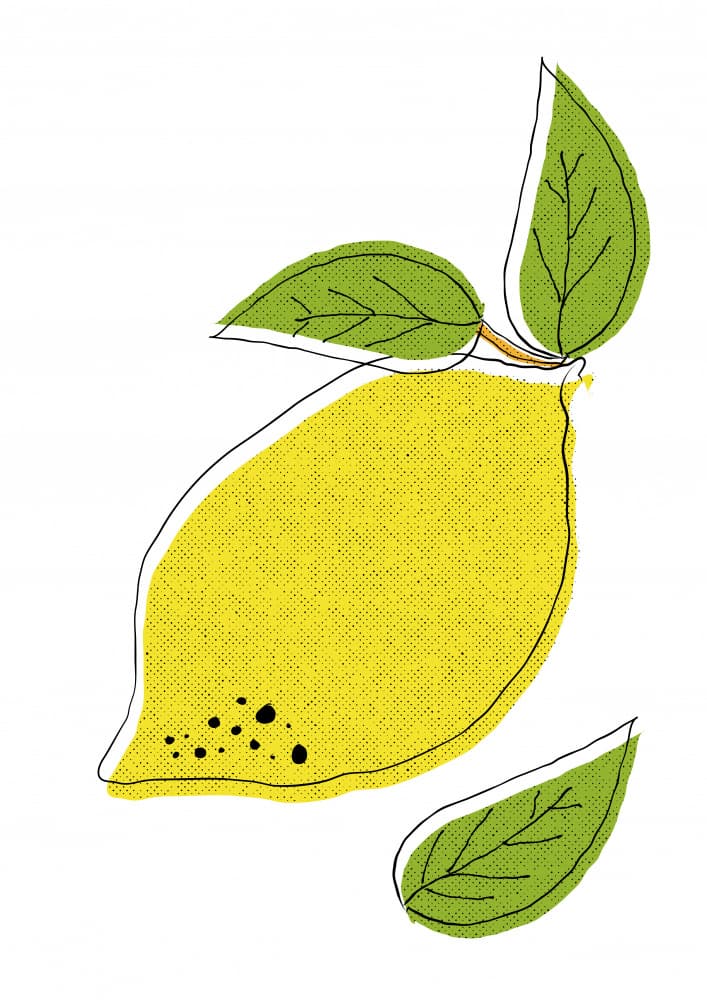 Bright Lemon Illustration