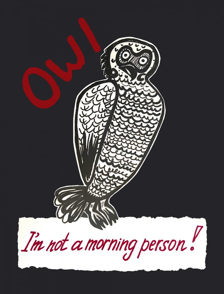 Sleepy Owl Humor by Marina Kozyr — canvas wall art
