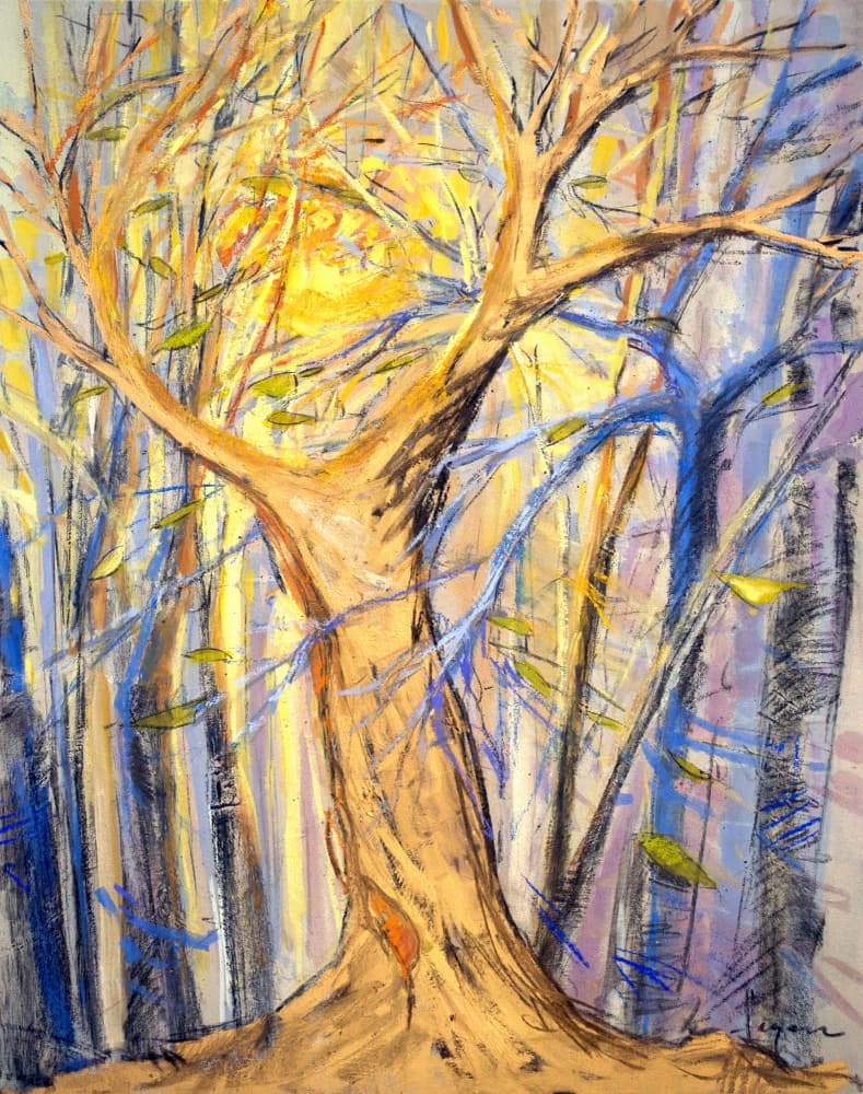 Radiant Forest Glow by Dorothy Fagan — canvas wall art