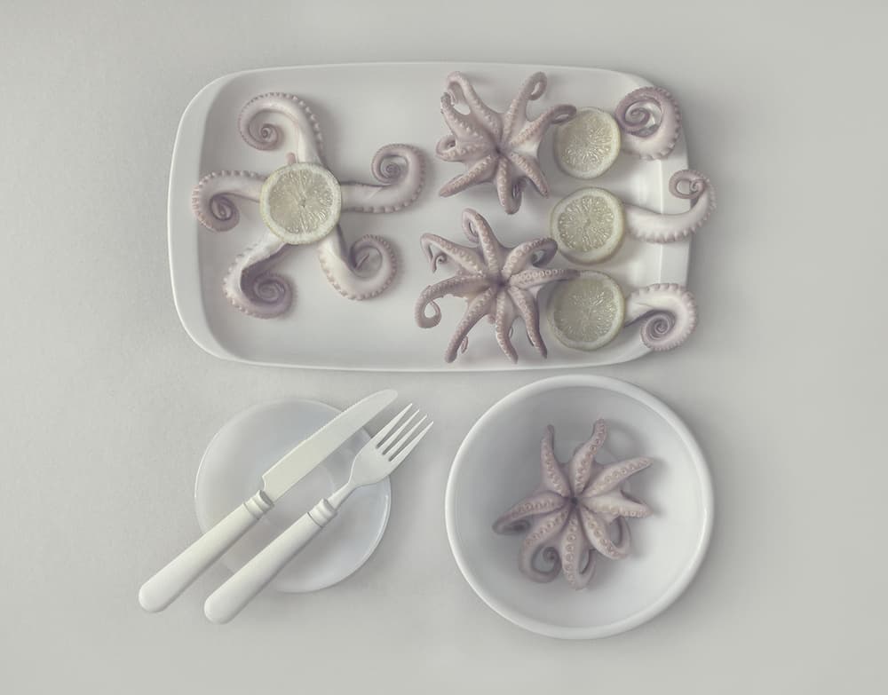 Gourmet Octopus Meal by Dimitar Lazarov - Dim — canvas wall art