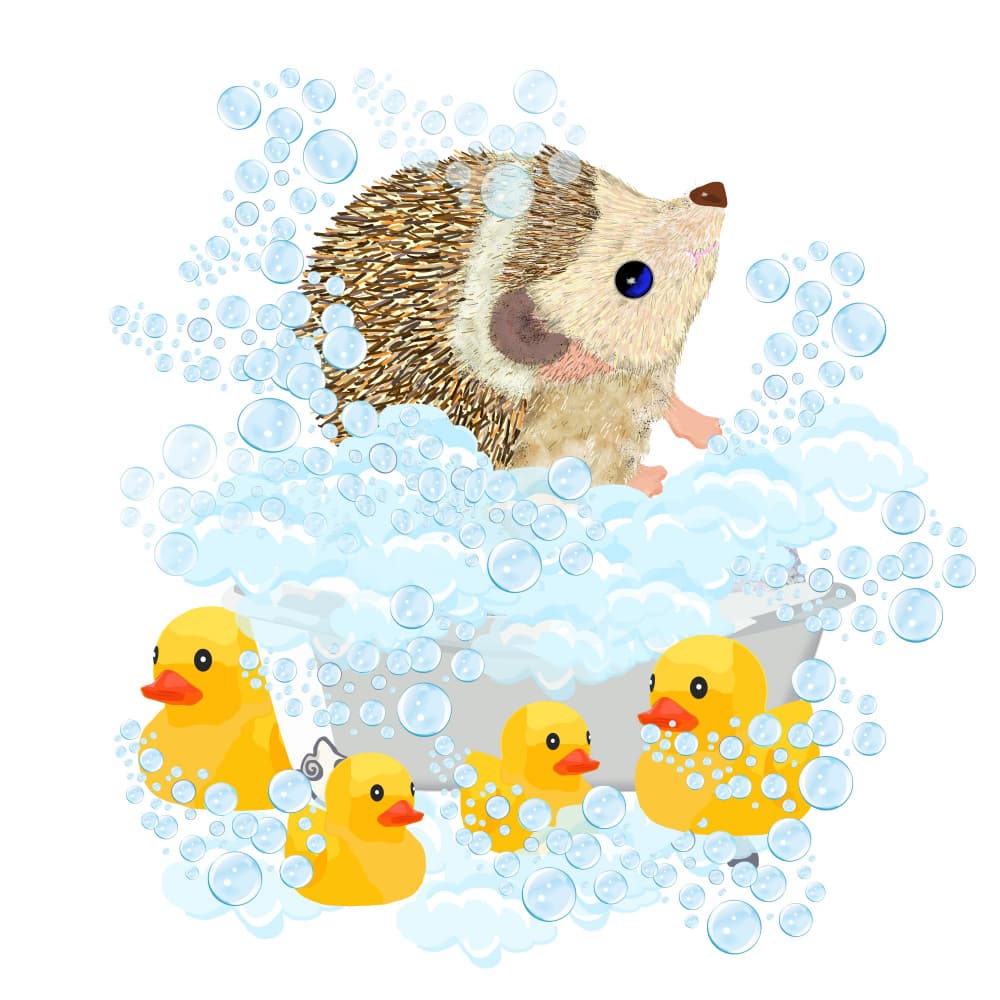 Hedgehog Bubble Bath Fun by Lynnda Rakos — canvas wall art