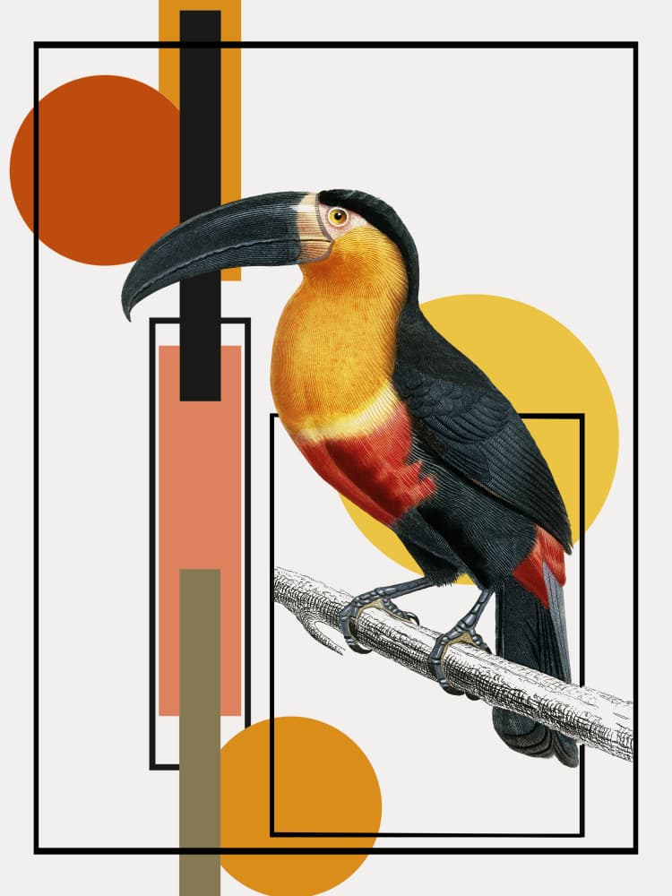 Geometric Toucan Art by Marja van den Hurk — canvas wall art