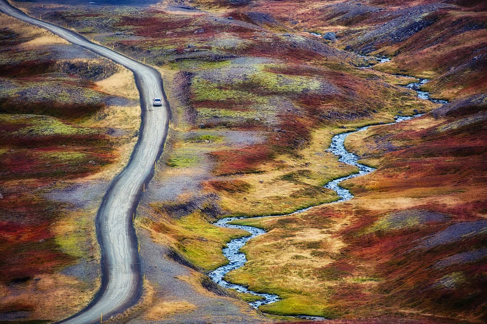Winding Autumn Road by swapnil deshpande — canvas wall art