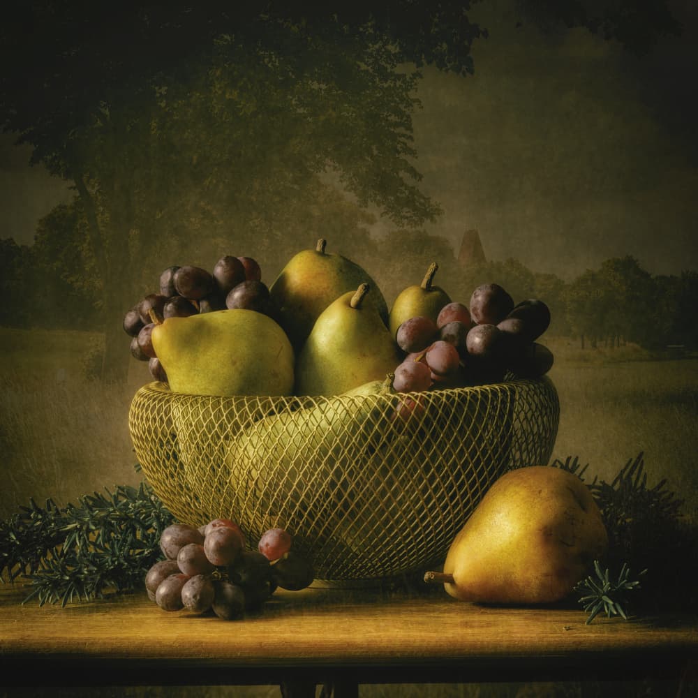Rustic Fruit Still Life by Monique van Velzen — canvas wall art