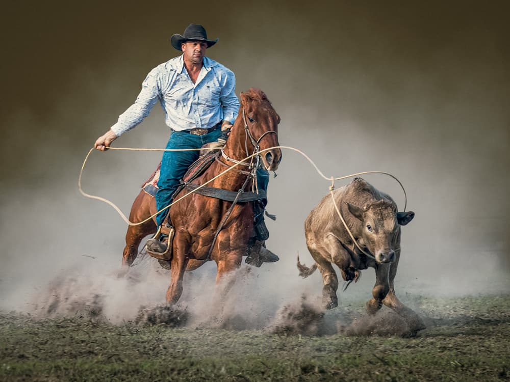 Dusty Roping Action by Frank Ma — canvas wall art