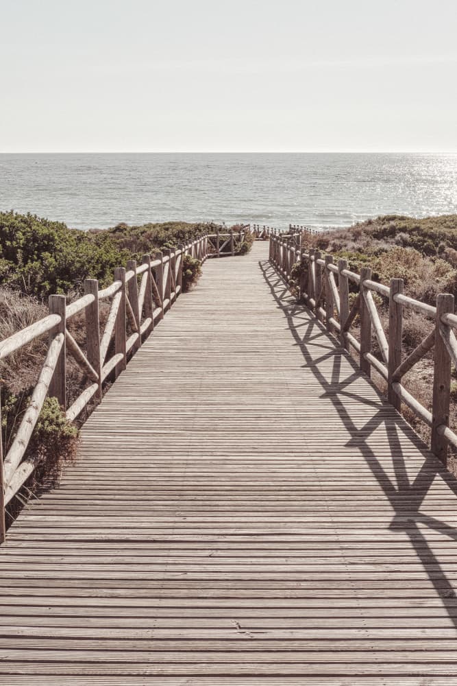 Coastal Boardwalk Path