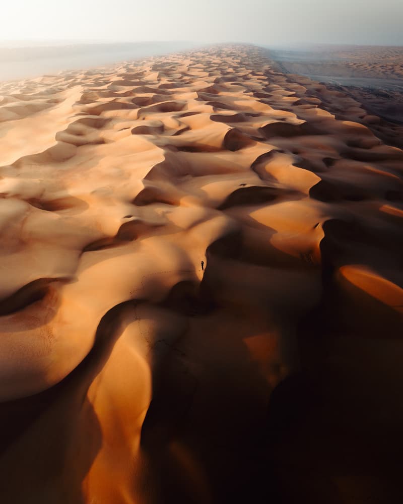 Golden Desert Horizon by Witold Ziomek — canvas wall art