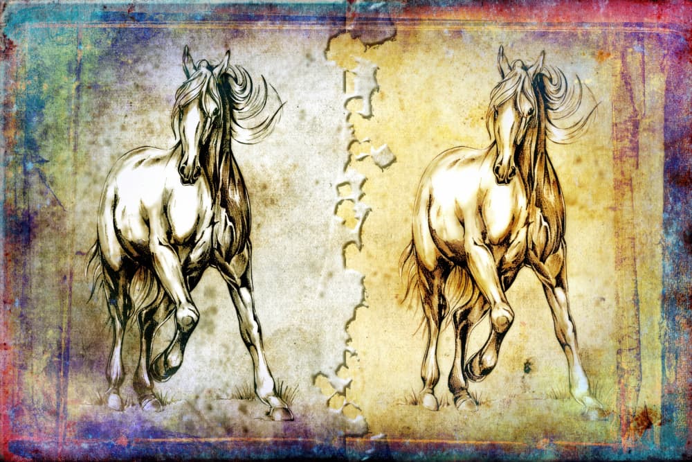Dynamic Horse Sketch by Rafal Kulik — canvas wall art
