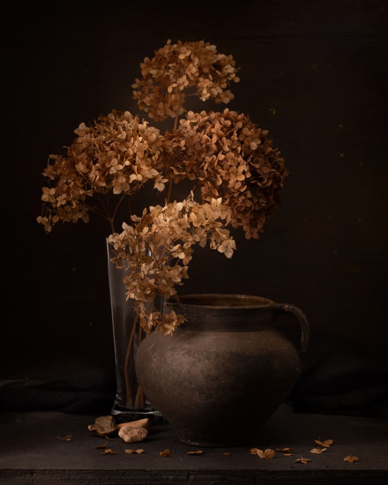 Rustic Dried Flowers Still Life by magnola — canvas wall art