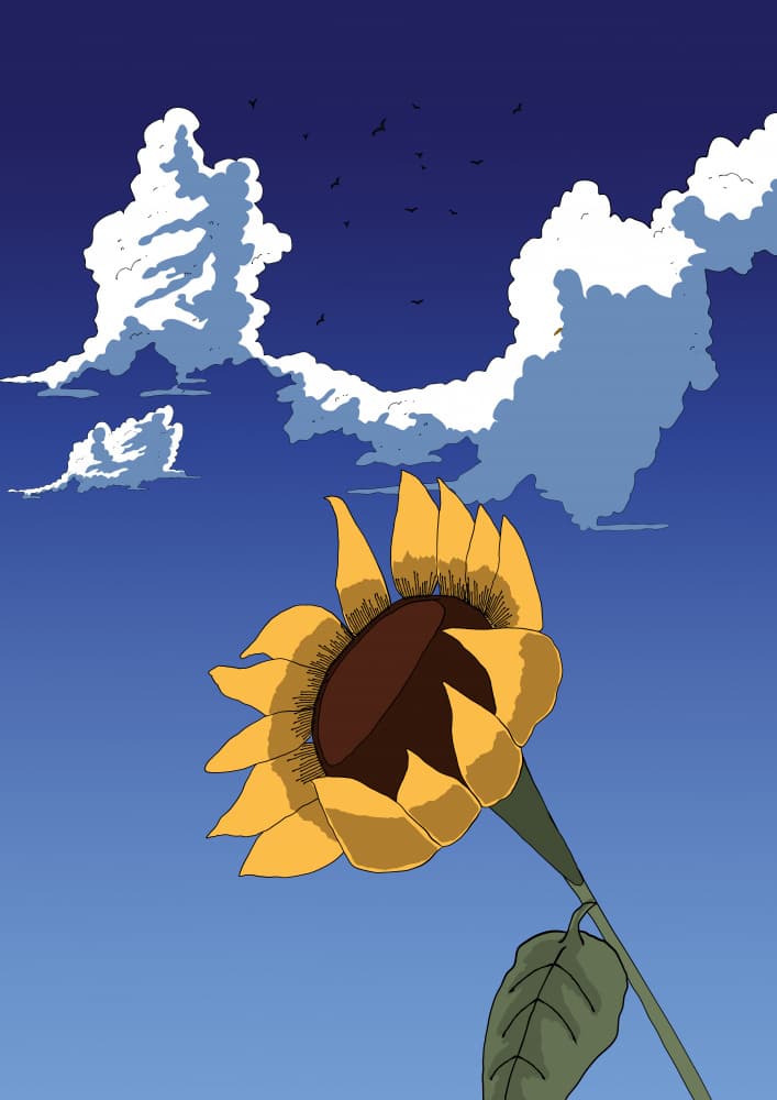 Vibrant Sunflower Sky by Nicholas — canvas wall art
