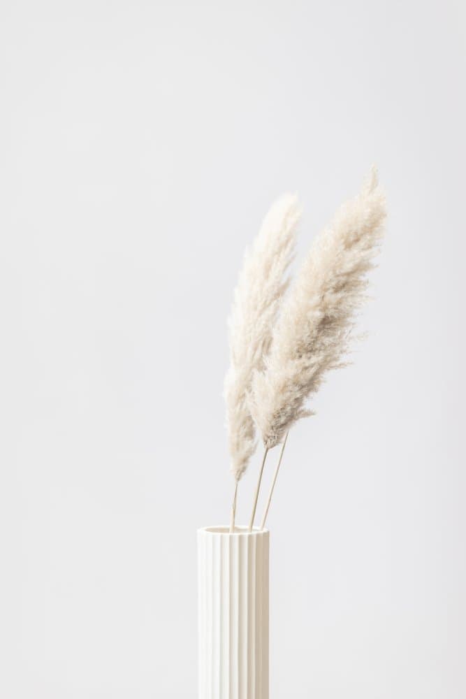 White Pampas Vase by Pictufy Studio III — canvas wall art