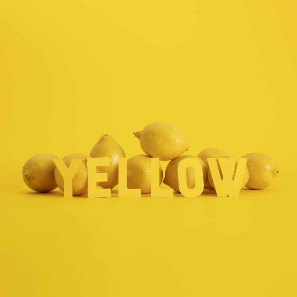 Fresh Yellow Lemons by Julia Ramiro — canvas wall art