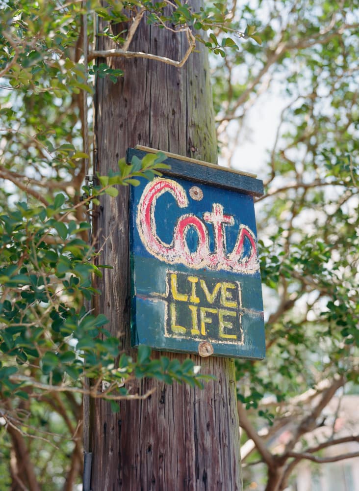 Rustic Cats Live Life by Bethany Young — canvas wall art