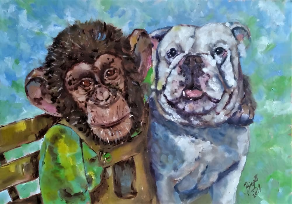Chimp and Bulldog Friends by Anda Bieza — canvas wall art