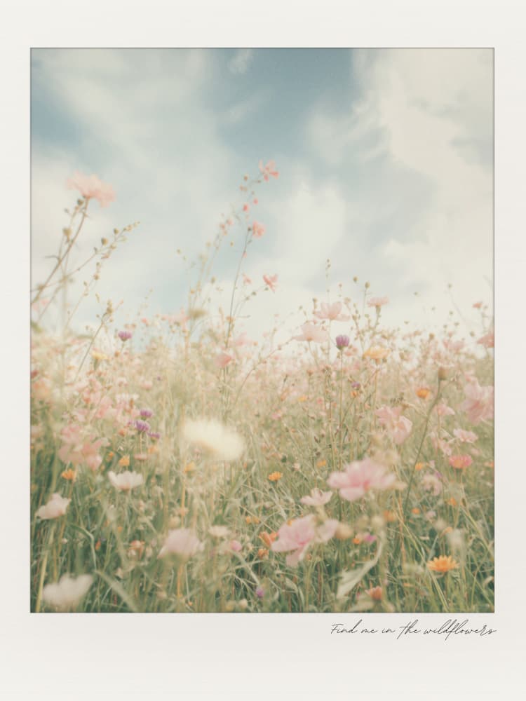 Dreamy Wildflower Field by Ohkimiko — canvas wall art