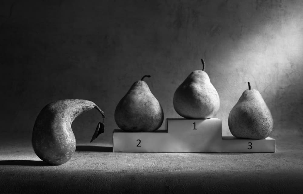 The Pear's Struggle by Victoria  Glinka — canvas wall art