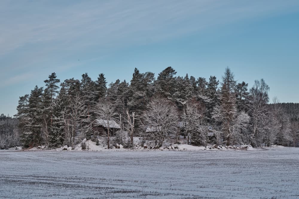 Snowy Forest Cabins by Geertjan Plooijer — canvas wall art