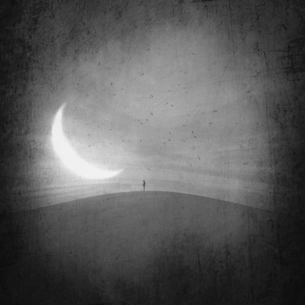Crescent Moon Solitude by Robert Fabrowski — canvas wall art