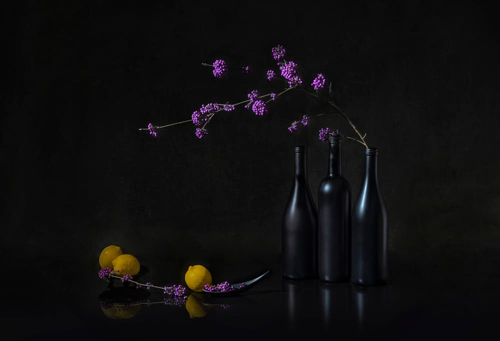 Purple Berries Dark Still Life by Lydia Jacobs — canvas wall art